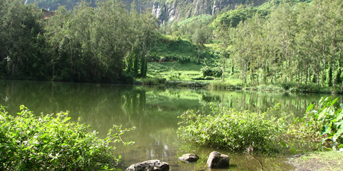 Mare à Poule d'Eau, Salazie, île de La Réunion